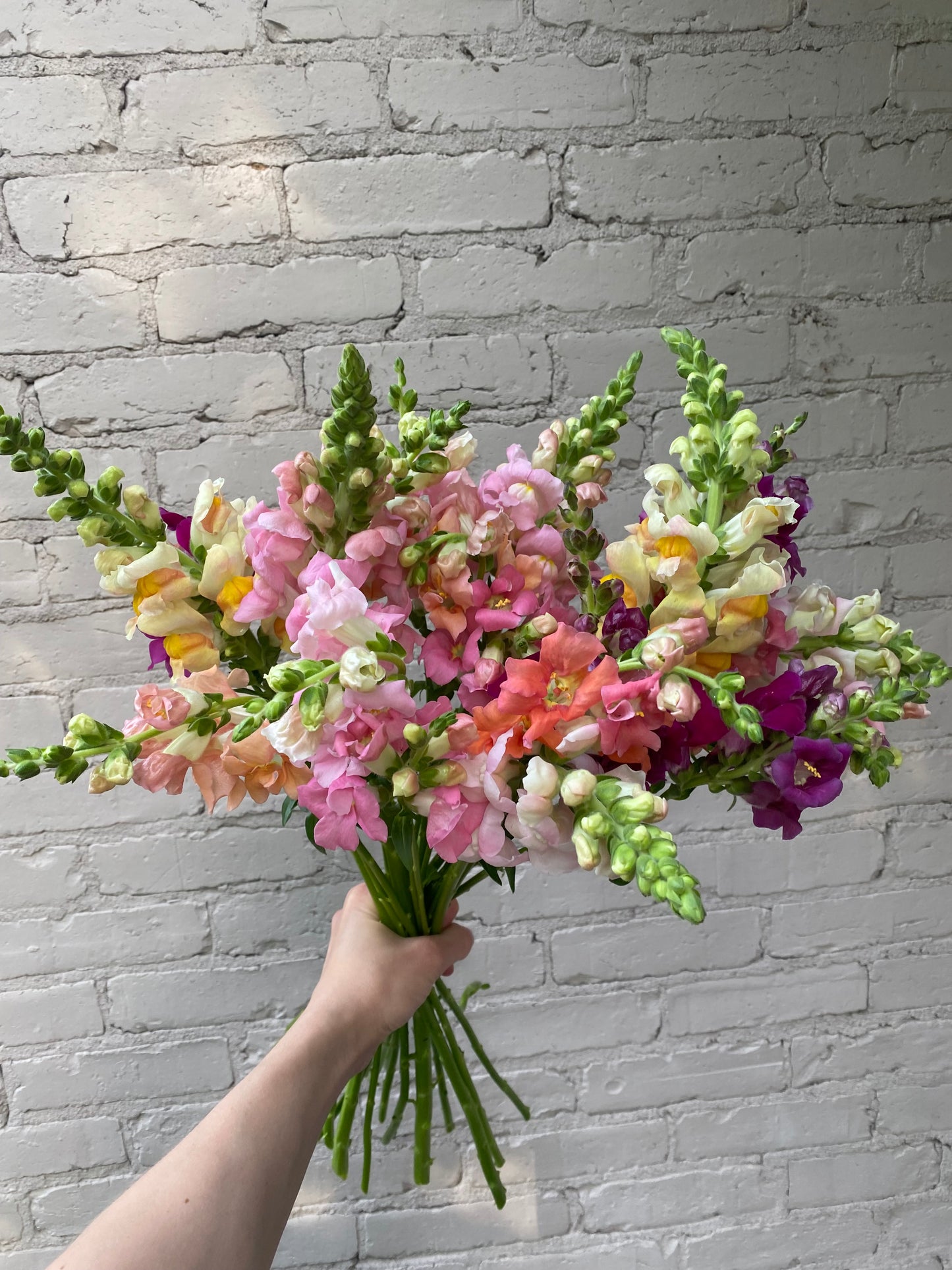 Fetch Me Flowers Bouquet - Nashville FRIDAY Local Pick Up